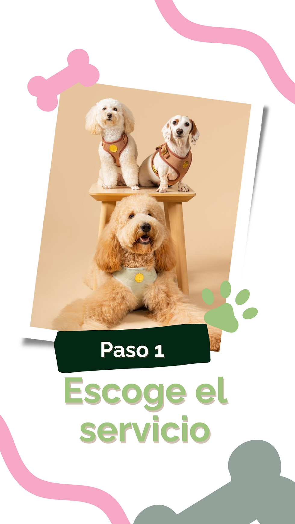 historia para instagram pet shop amor mascota perro y gato (5).png