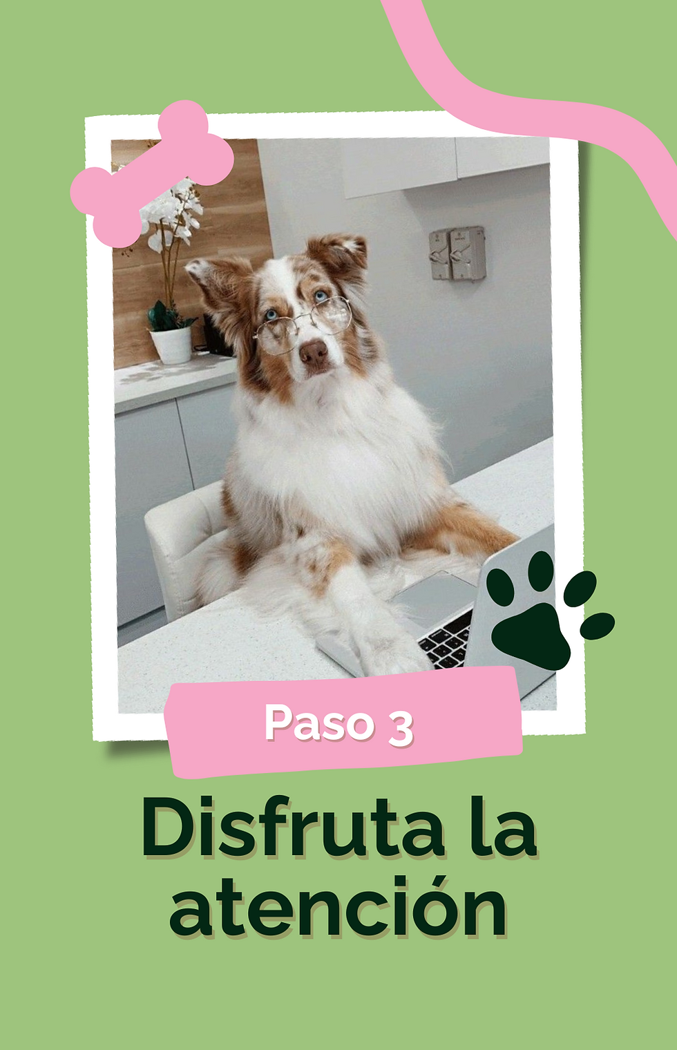 historia para instagram pet shop amor mascota perro y gato (7).png