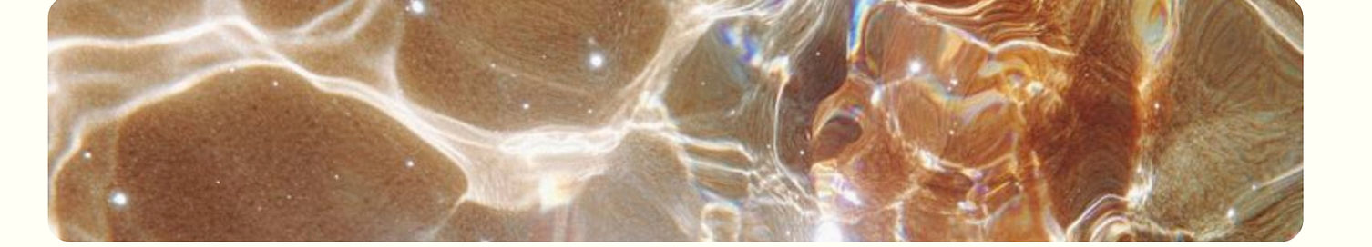 Nourish A Journey into your body and sof