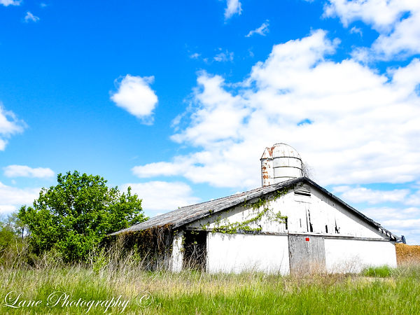 Barn Round About 5-5-21  2658.jpg