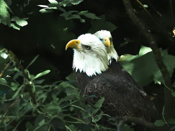 Moon 2-23-24 (5 of 10).jpg