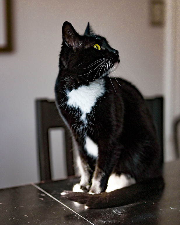 04112025 Piper-6.jpg