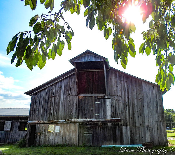 Barn Burl Rain  7-18-21  3915 (1 of 1).jpg