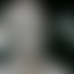 Pierre Poivre Si Buntung dan Runtuhnya Pasar Rempah Dunia