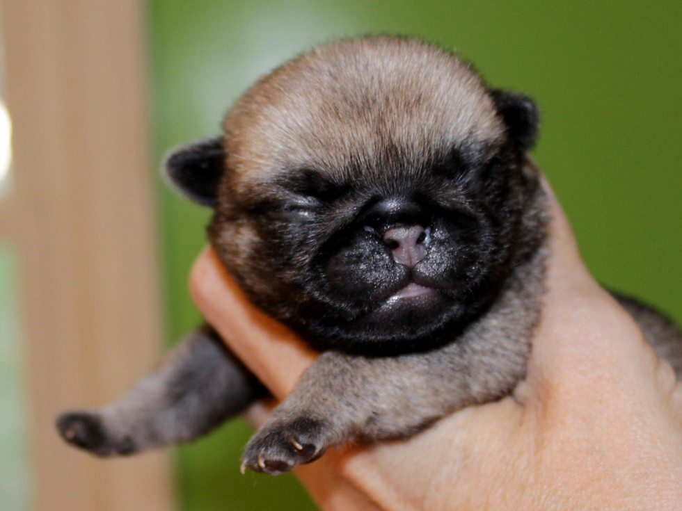 5 days old