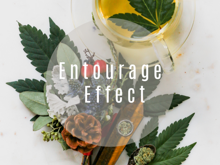 How big is your Entourage?