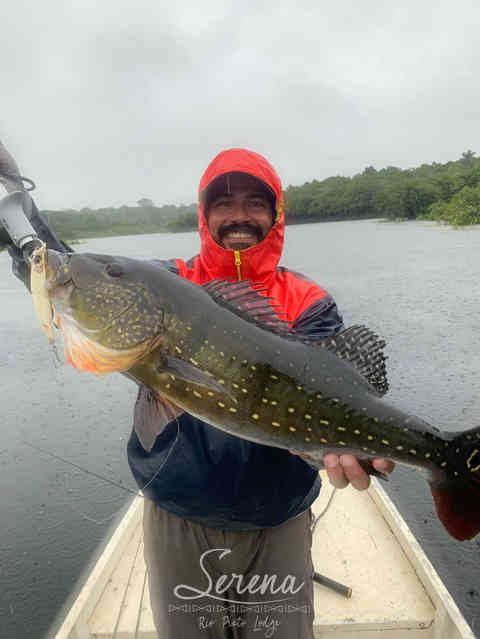 Serena Rio Preto Lodge - Tucunaré Paca - Rio preto da eva