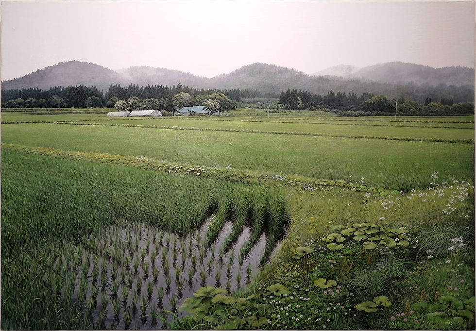 4 梅雨の里山