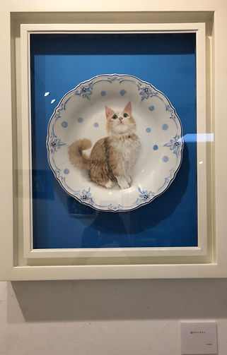 猫のクーチャン.jpg