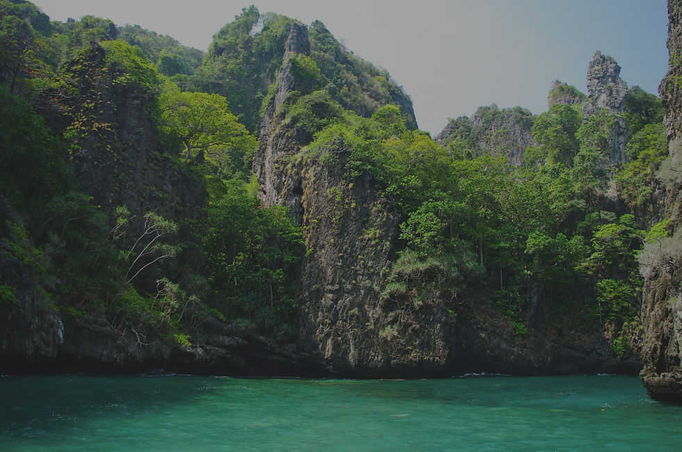 kamakani website design - island.jpg