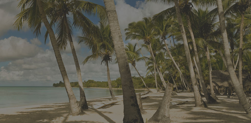 kamakani website design - beach.jpg