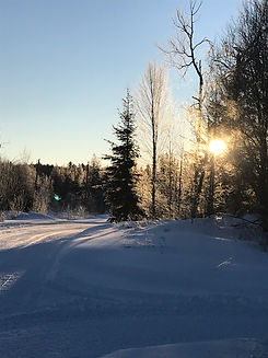 Soleil levant en ski de fond et raquette