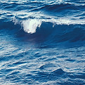 pexels-lucasandrade-13198113_edited_edited_edited.jpg