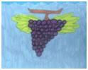102_photo_dessin_grappe_raisin.jpg