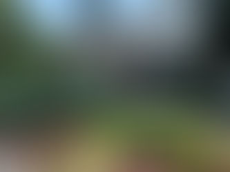 COMPLEJO CULTURAL LOS PINOS: DE RESIDENCIA PRESIDENCIAL A ESPACIO ABIERTO PARA TODOS