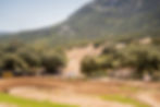 BARONA-11.jpg