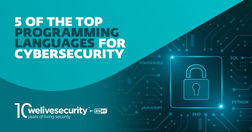 5 of the top programming languages for cybersecurity