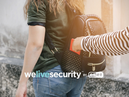 What to do you if your phone is lost or stolen