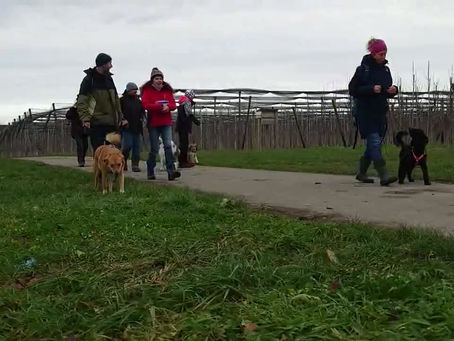 Video zur Ho Ho Ho Hohbergrunde vom 10.12.2023.