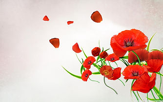 38189443-poppy-images.jpg