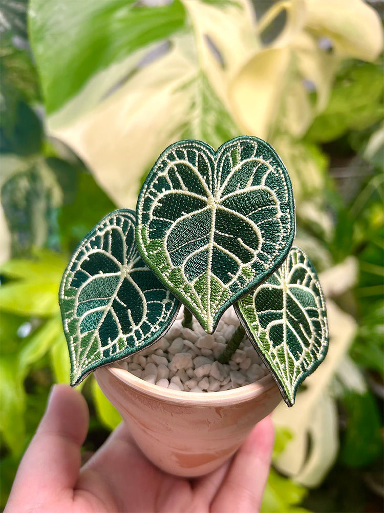 Thumbnail: Botanical Leaf Brooches