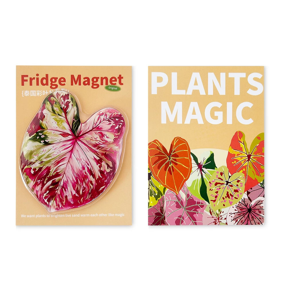 Thumbnail: Plant Magnet Tropical Collection