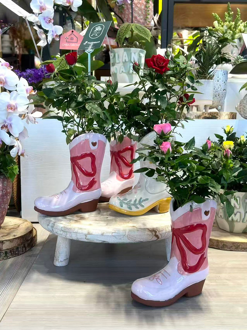 Thumbnail: Cowgirl Boots Rose Planter