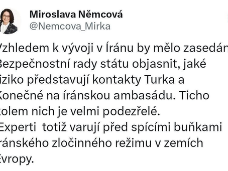 Zavřete ji do blázince