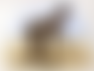 Proč se všichni lidoopi nevyvinuli v lidi, pokud jsou lidé skutečně potomky lidoopů?