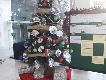 Exposição: Duzentos Anos de Textos Constitucionais