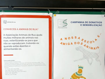 Comunidade escolar unida em ação solidária