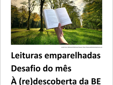 MIBE