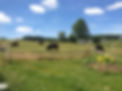 Hintergrund Homepage.JPG