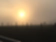 Sonnenungergang Weidefleisch.JPG