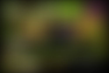 Dates Stage débutant "Maîtrise de son appareil photo"