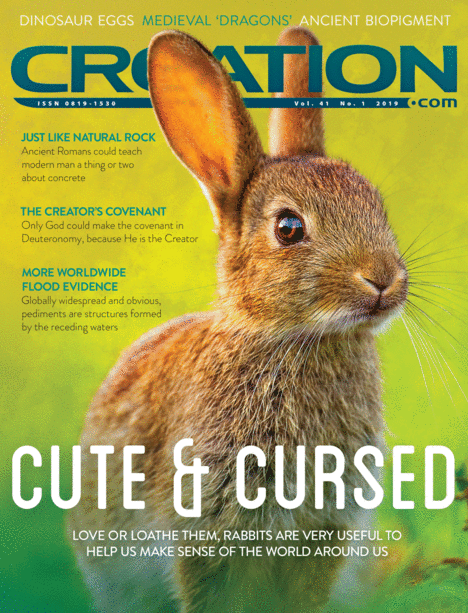 Creation Magazine