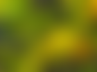 Perché le foglie del limone diventano gialle: soluzioni e consigli