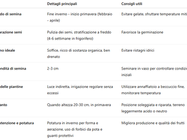 Quando e come piantare i semi di cachi: guida completa alla semina e alla coltivazione