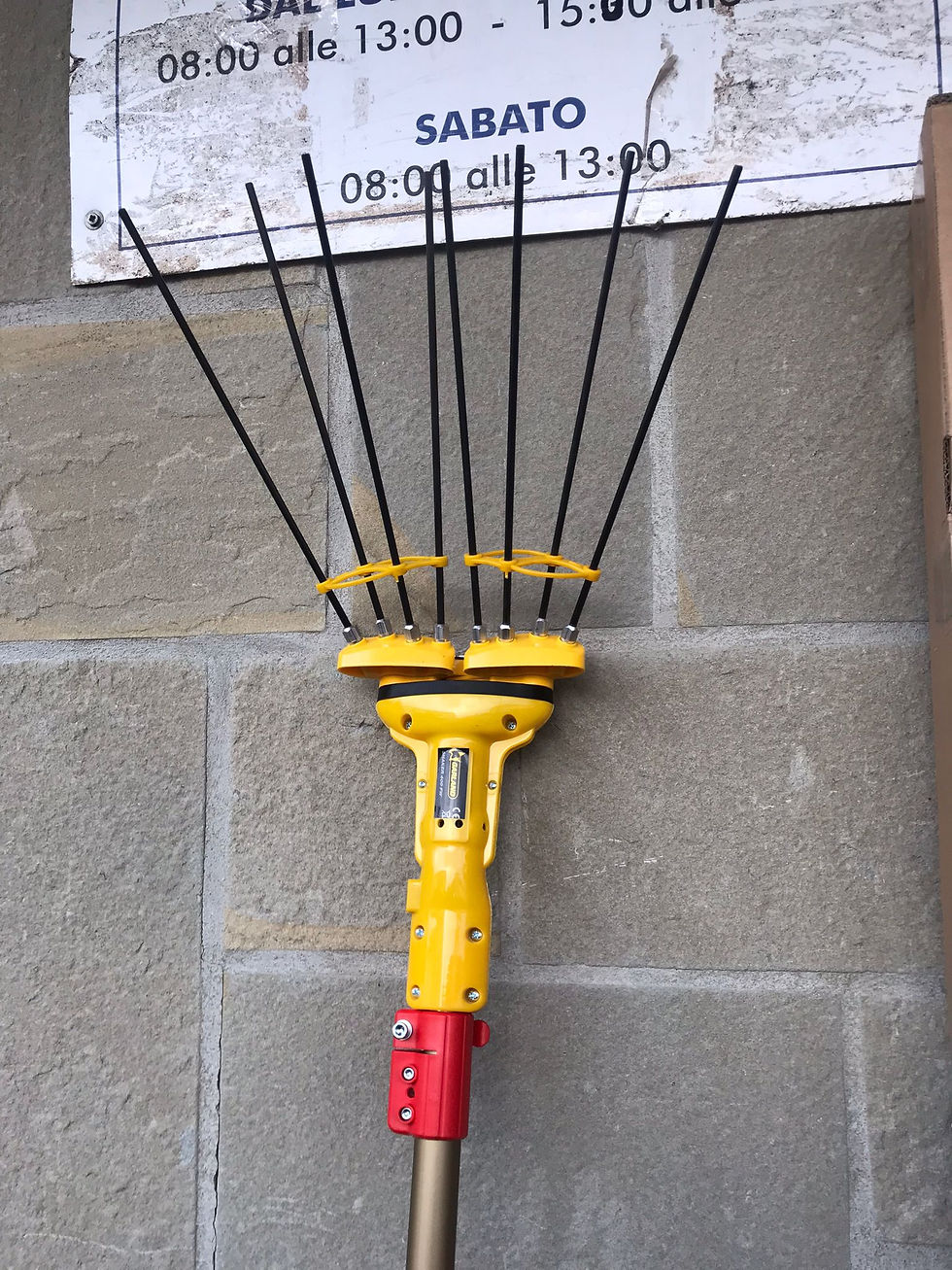 Abbacchiatore sbaraglia ADRIAN con motore da 350 W