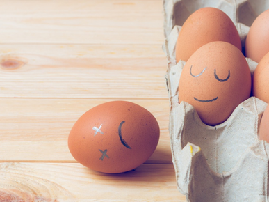 Come usare le uova scadute nel giardinaggio: guida per principianti