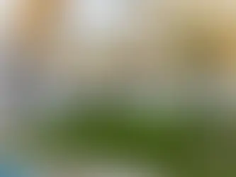 Ferragosto nel Giardino: 3 + 1 Idee Creative per un Giorno di Relax o di Divertimento