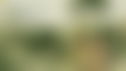 Joy is resistance: Choosing hope in a broken world