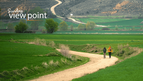 Finding home in a strange land