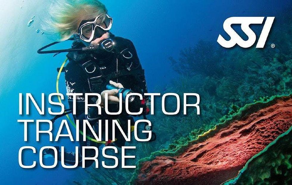 Instructor Training Course
