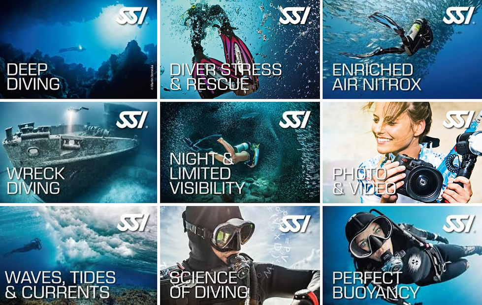 SSI Specialty Diver
