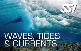 SSI Waves, Tides & Currents