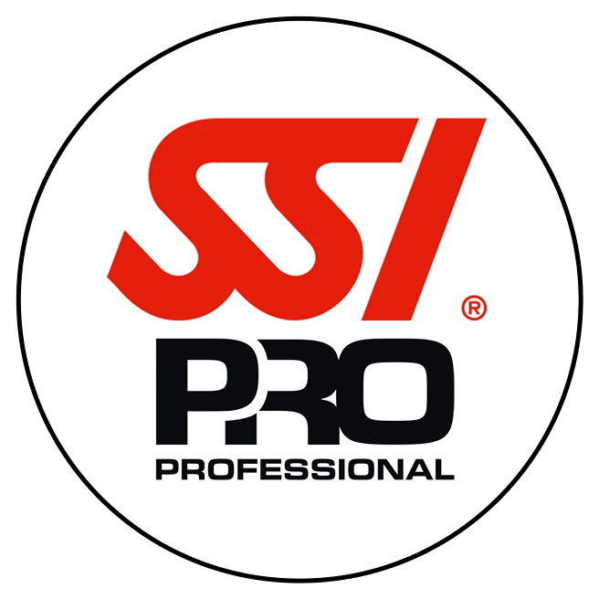 ssi-pro.png