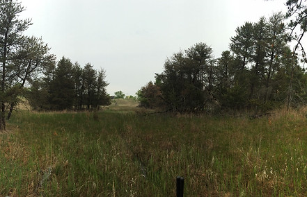 Interdunal wetlands