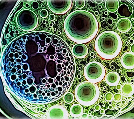 "Unlocking Relief: New Research on Chronic Lyme Disease Symptoms You Can’t Miss!"