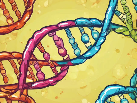 If Skipping Breakfast Made You Skinny, We’d All Be Supermodels